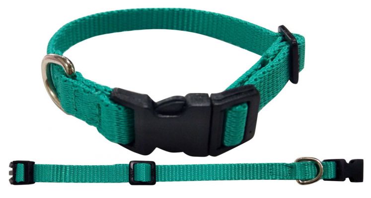 Showman Couture Large Nylon dog collar #2